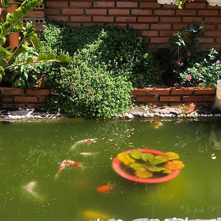 Rose House Apartment Dalat Luaran gambar