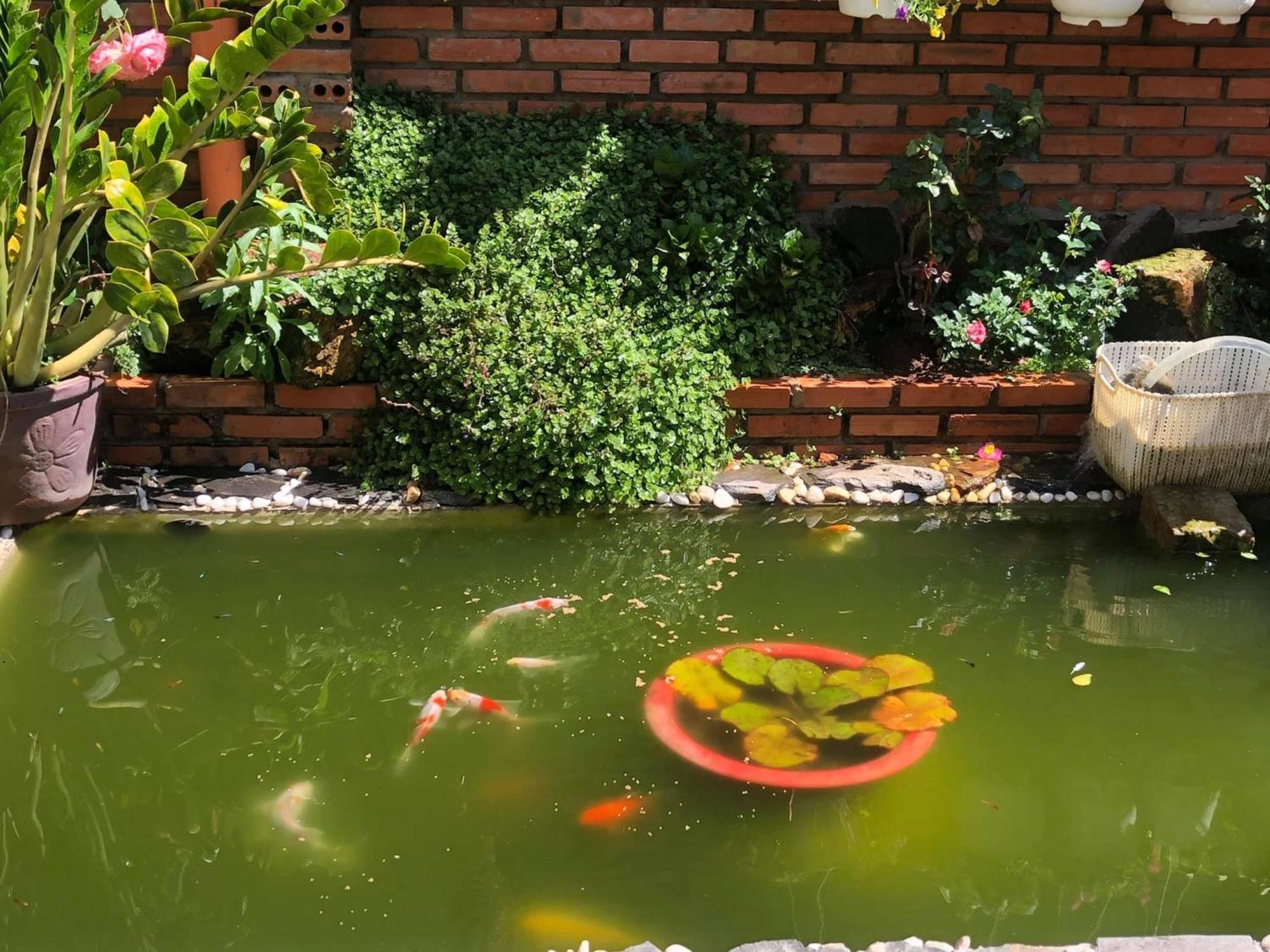 Rose House Apartment Dalat Luaran gambar